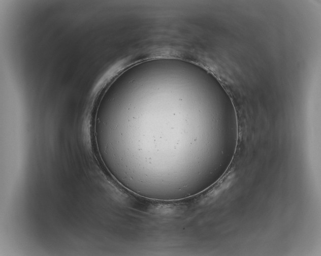 X0000111490341200907211014