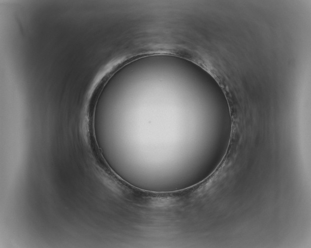 X0000111490342200907211014