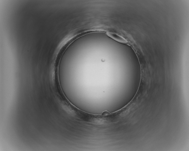 X0000111490344200907211014