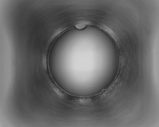 X0000111490345200907211014