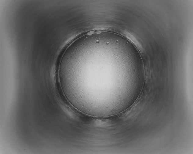 X0000111490346200907211014