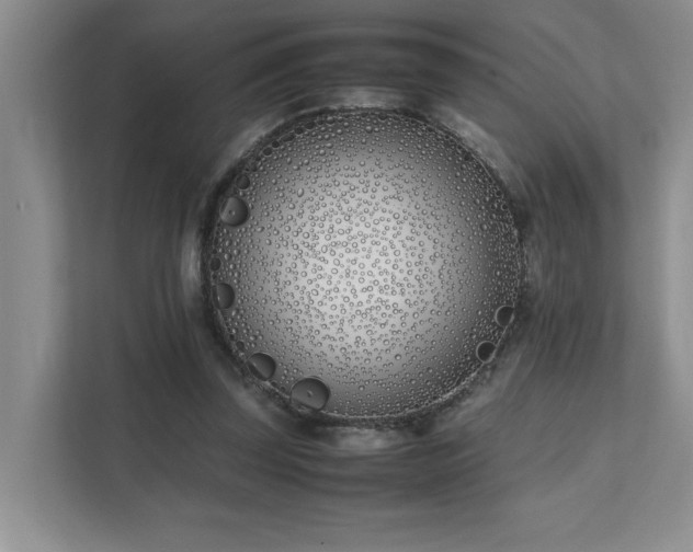 X0000111490347200907211014