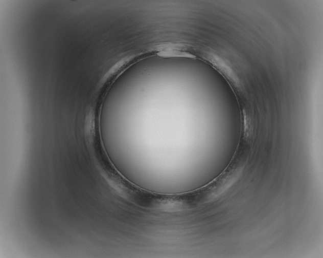 X0000111490348200907211014