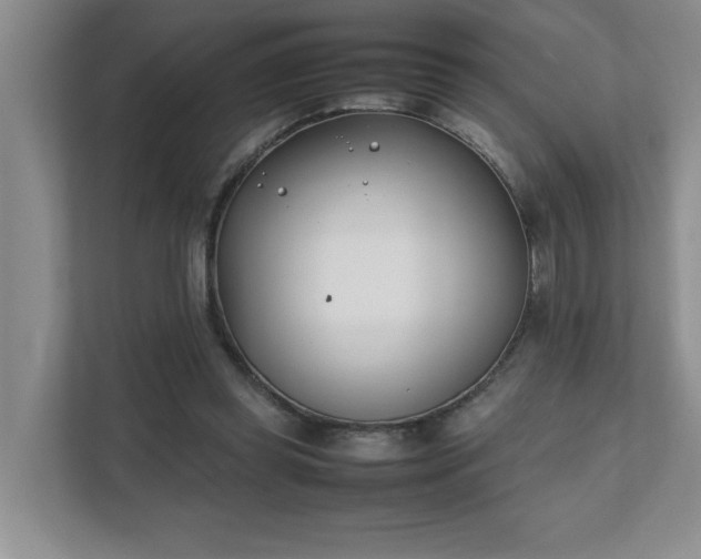 X0000111490349200907211014