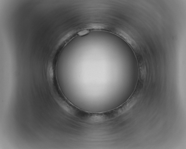 X0000111490350200907211014