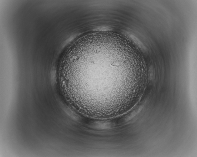 X0000111490351200907211014