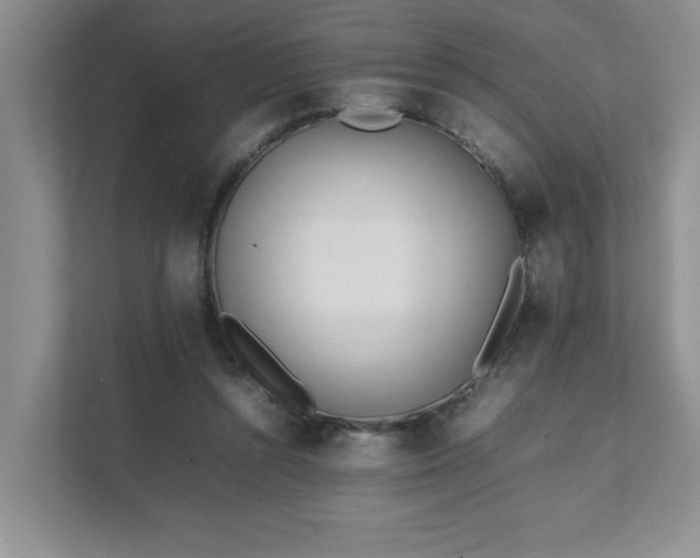 X0000111490352200907211014