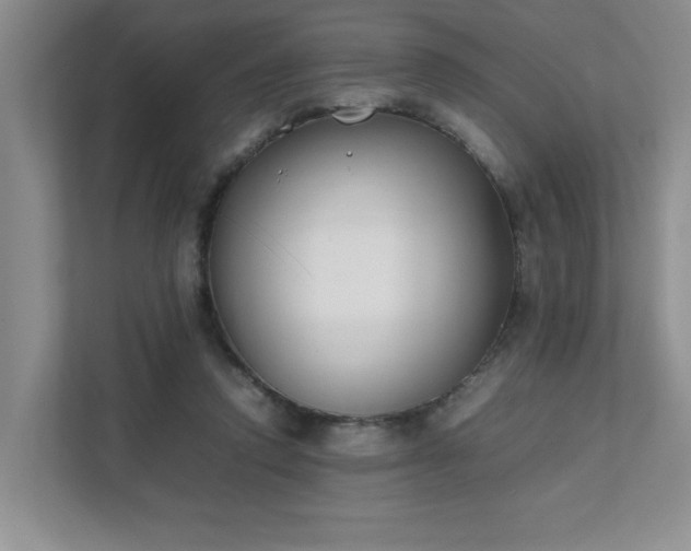 X0000111490354200907211014