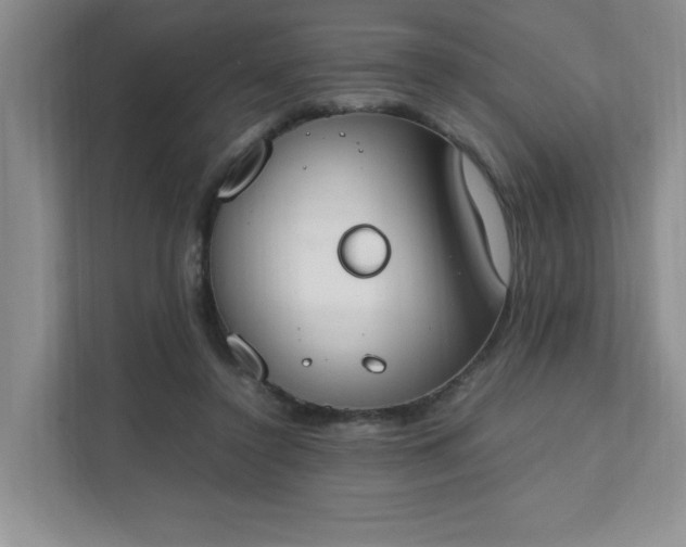 X0000111490356200907211014