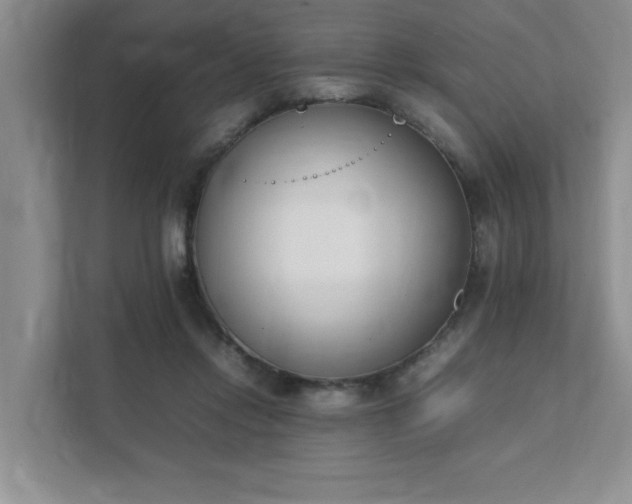 X0000111490358200907211014