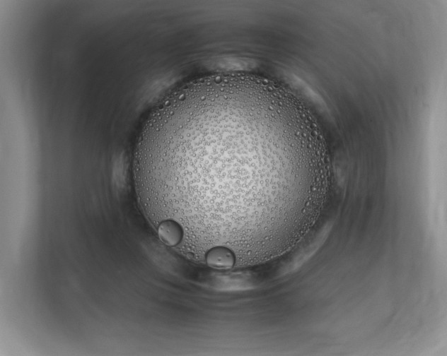 X0000111490359200907211014