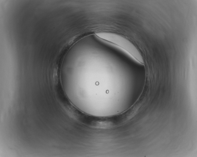 X0000111490360200907211014