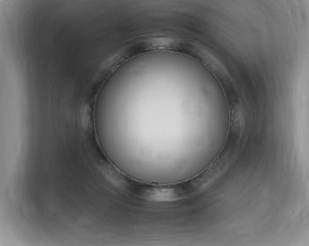 X0000111490361200907211014