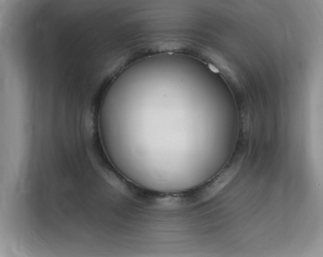 X0000111490362200907211014