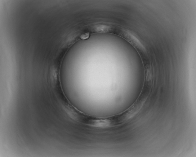 X0000111490363200907211014