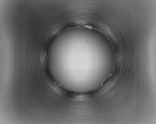 X0000111490364200907211014