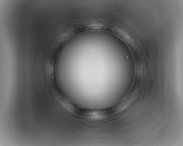 X0000111490365200907211014