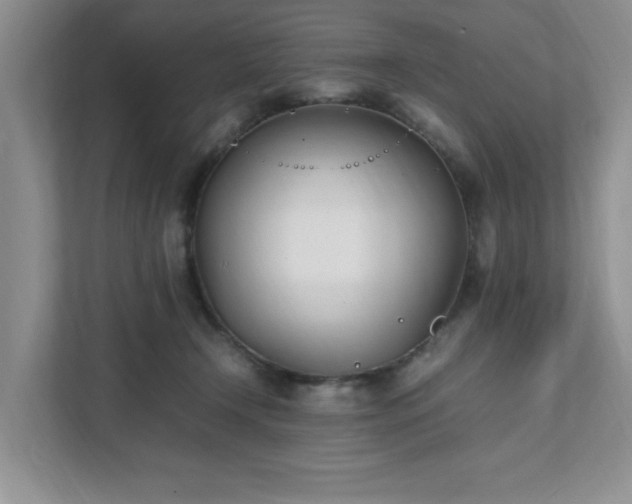 X0000111490366200907211014