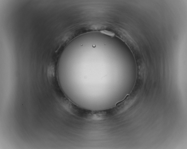 X0000111490368200907211014