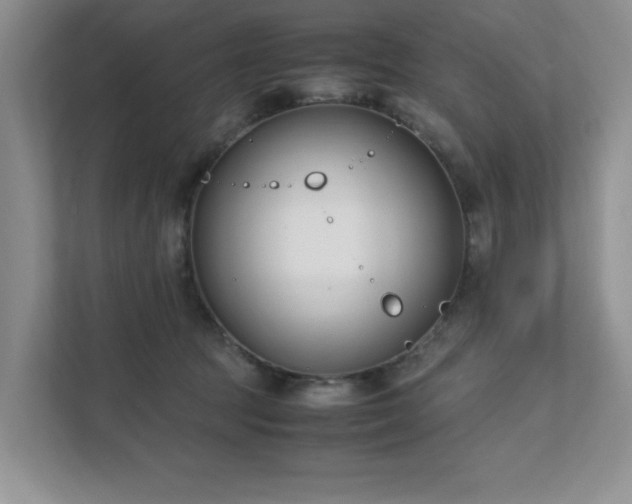 X0000111490369200907211014