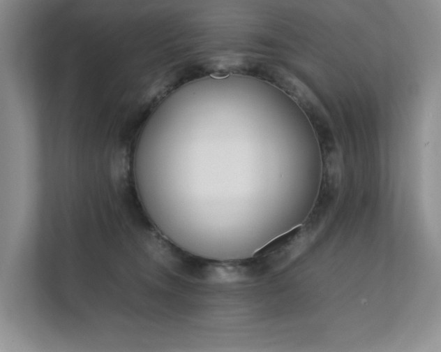 X0000111490372200907211014