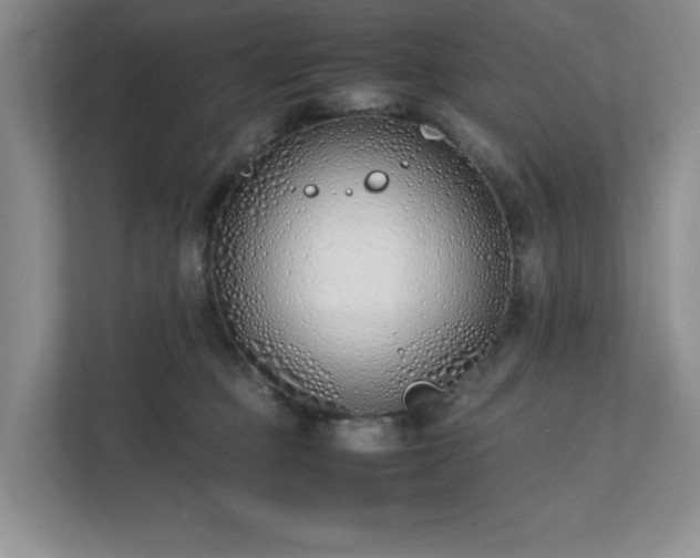 X0000111490373200907211014