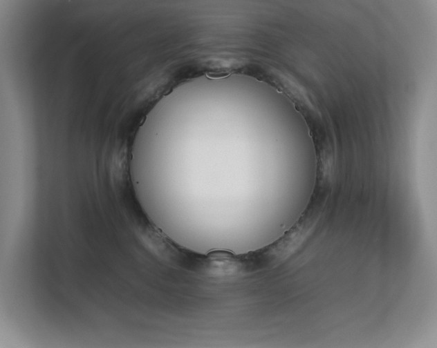 X0000111490376200907211014