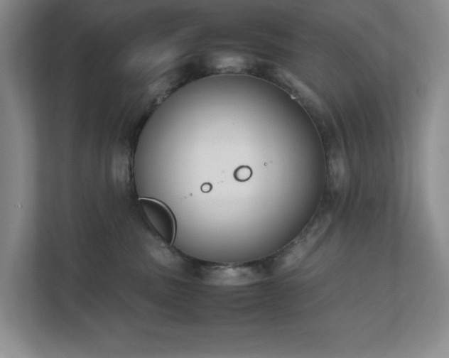 X0000111490379200907211015