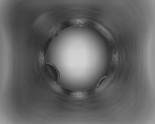 X0000111490381200907211015