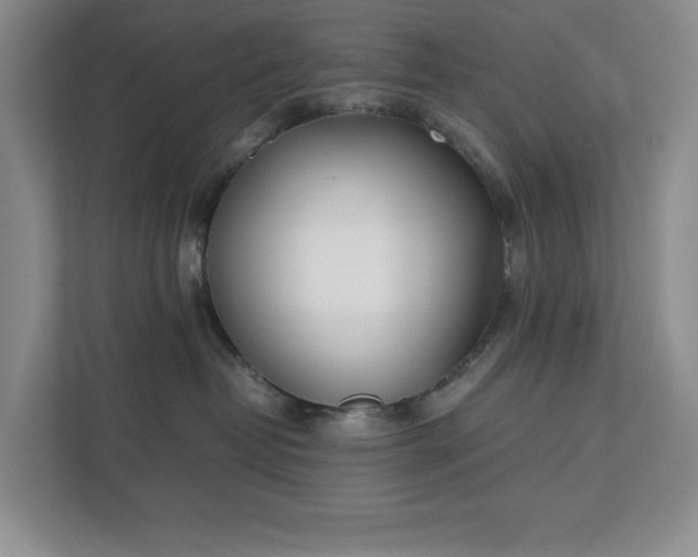 X0000111490382200907211015