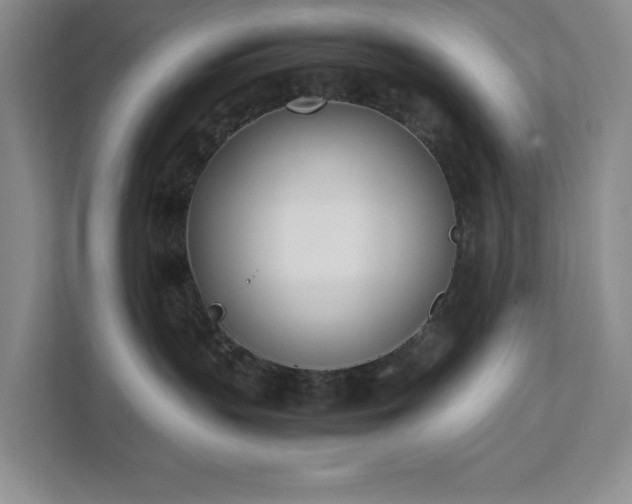 X0000111490383200907211015