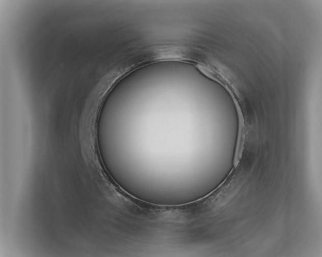 X0000111490385200907211014