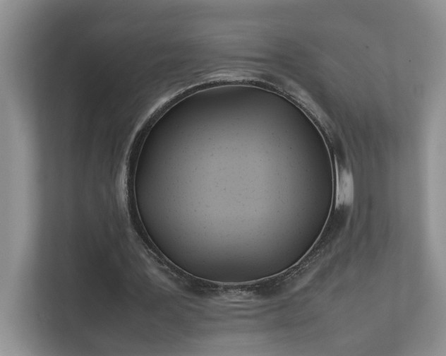 X0000111490387200907211014