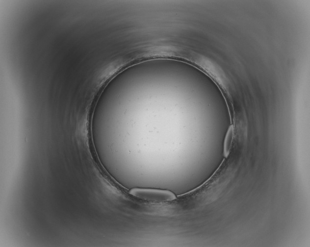 X0000111490389200907211014