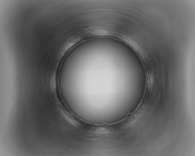 X0000111490390200907211014