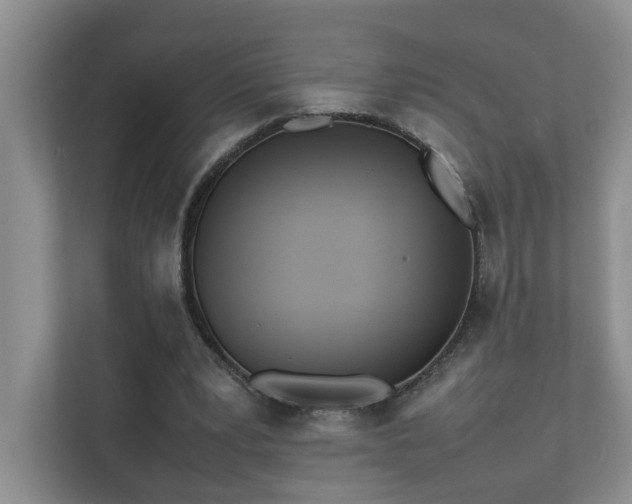 X0000111490391200907211014