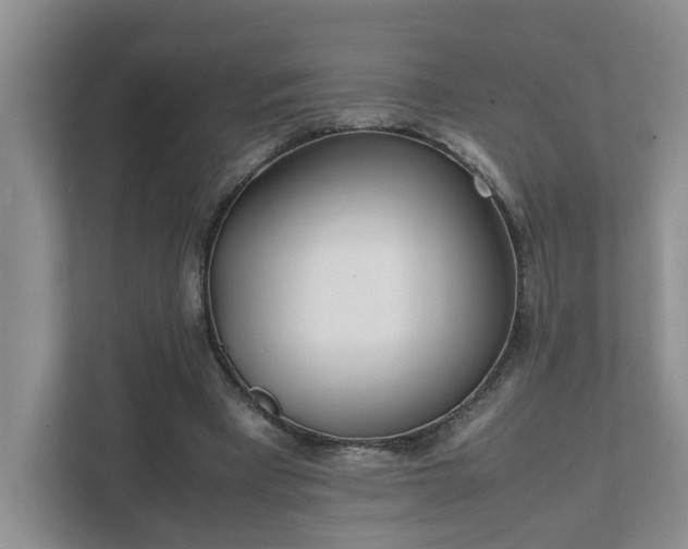 X0000111490393200907211014