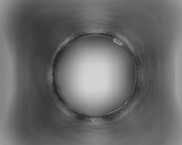 X0000111490395200907211014