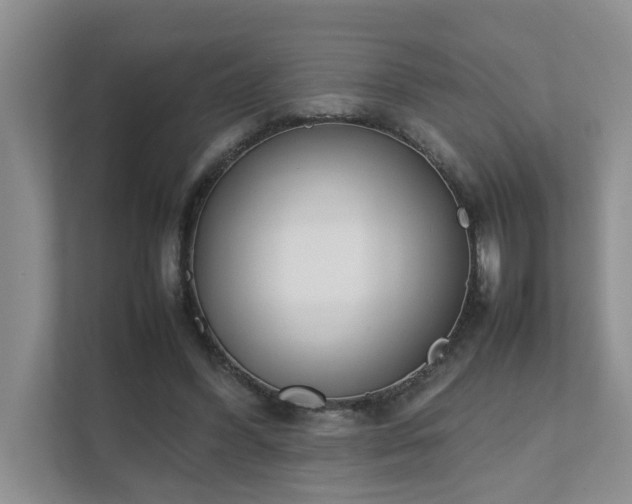 X0000111490396200907211014