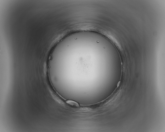 X0000111490397200907211014