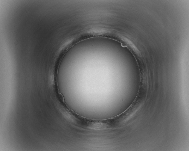 X0000111490399200907211014