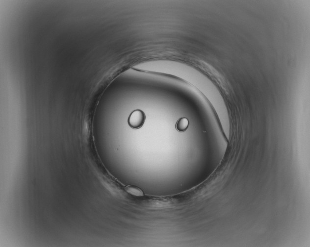 X0000111490405200907211014