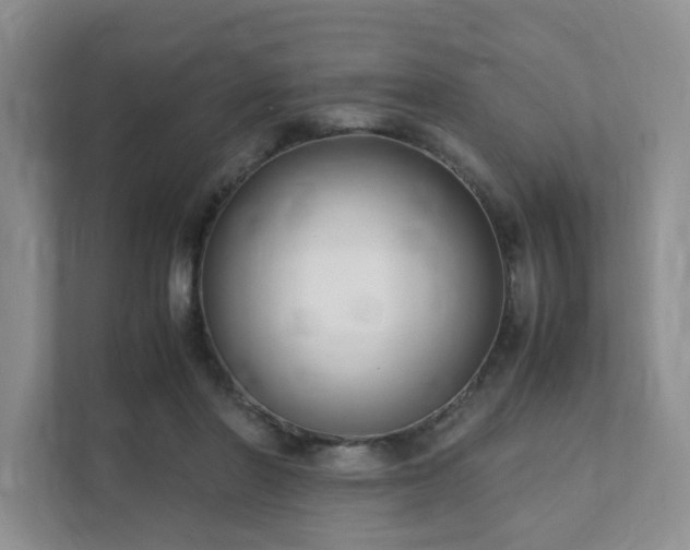 X0000111490406200907211014