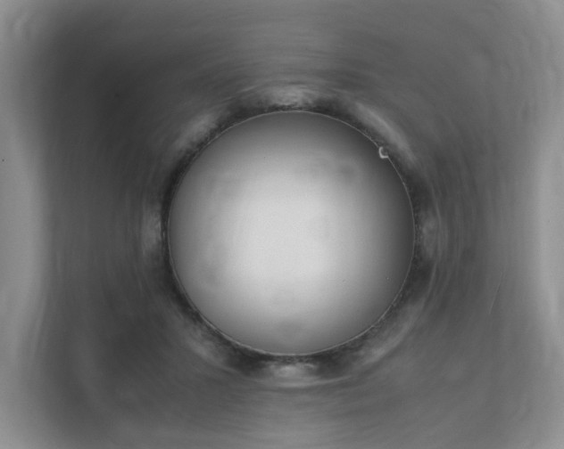 X0000111490407200907211014