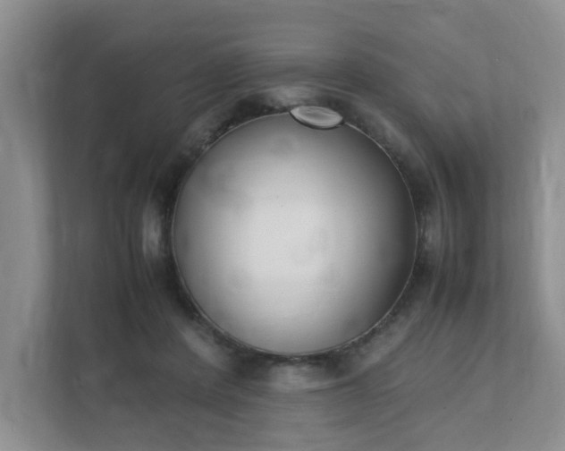 X0000111490408200907211014