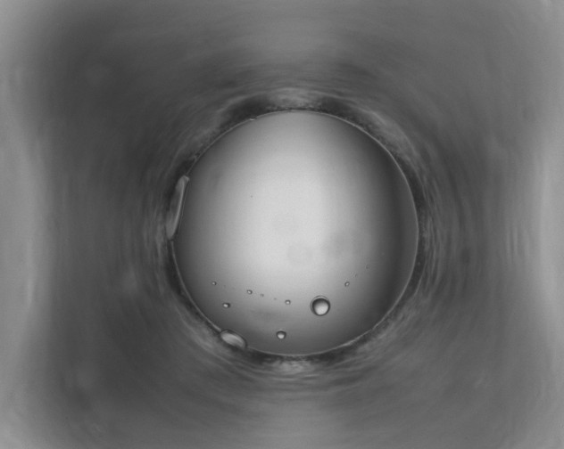 X0000111490409200907211014