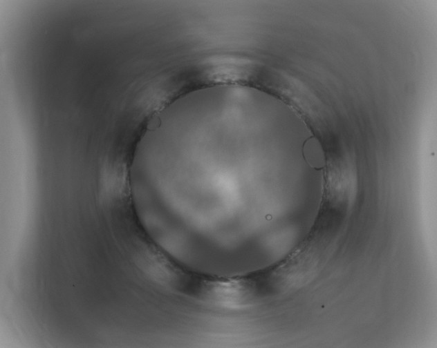 X0000111490411200907211014