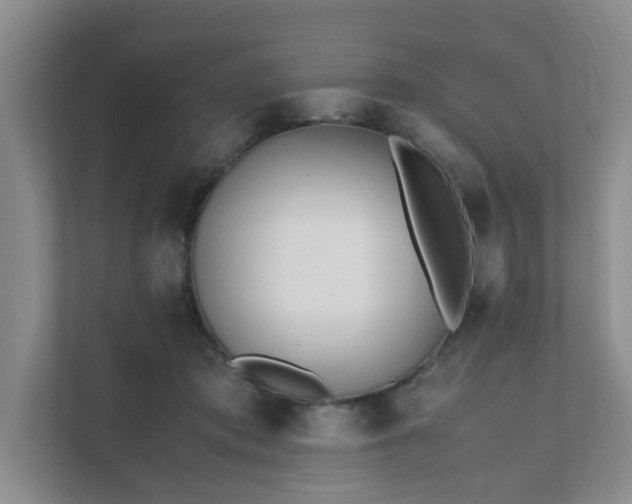 X0000111490413200907211014