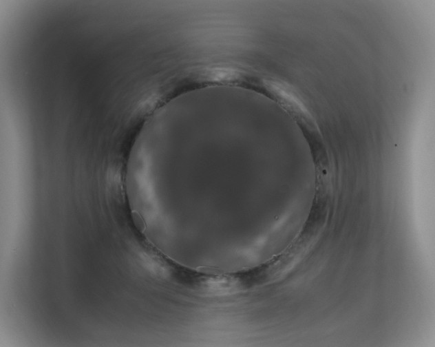 X0000111490415200907211014