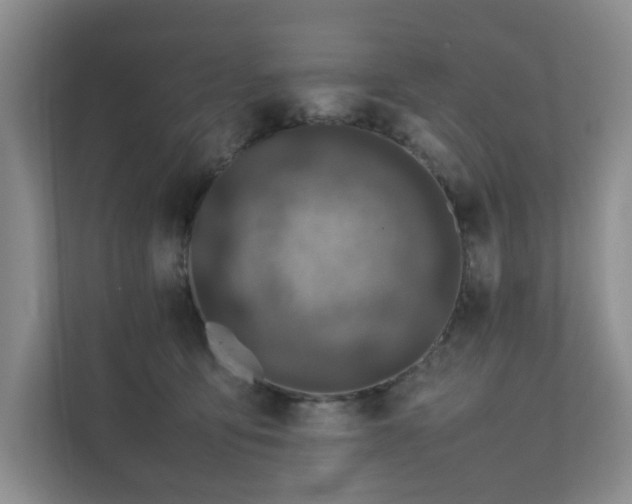 X0000111490419200907211013